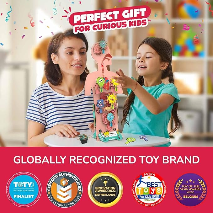 Smartivity Human Body Model for Kids 6 to 12 Years | Learn Body Organs, Functions with Fun Card Games | Christmas, Birthday Gift for Boys & Girls | DIY STEM Science Toys for Kids 6, 8, 10, 12 Years