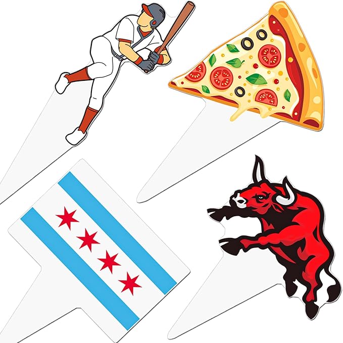 Chicago Cupcake Toppers US Chicago City Party Decorations 48PCS Chicago Theme Party Cupcake Picks Chicago Illinois Cake Decorations for Michigan Welcome to Chicago Party Supplies