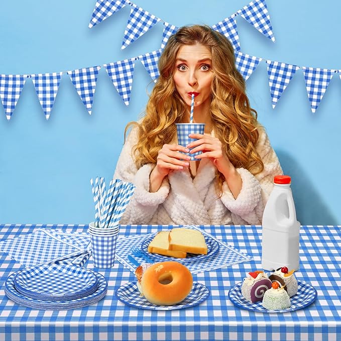 205 Pcs Party Supplies for 25 Guest Checkered Plaid Tablecloth Pennant Banner Plate Cup Napkin Cutlery and Straw for Birthday Party Family Dinner Picnic BBQ Birthday Party Decoration (Blue and White)