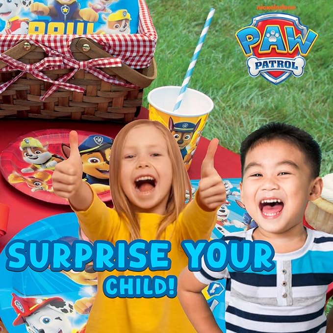Unique Paw Patrol and Paw Patrol Girl Party Hats 16 Party Hats with Celebrate With Me Sticker | Kids Birthday Party Supplies