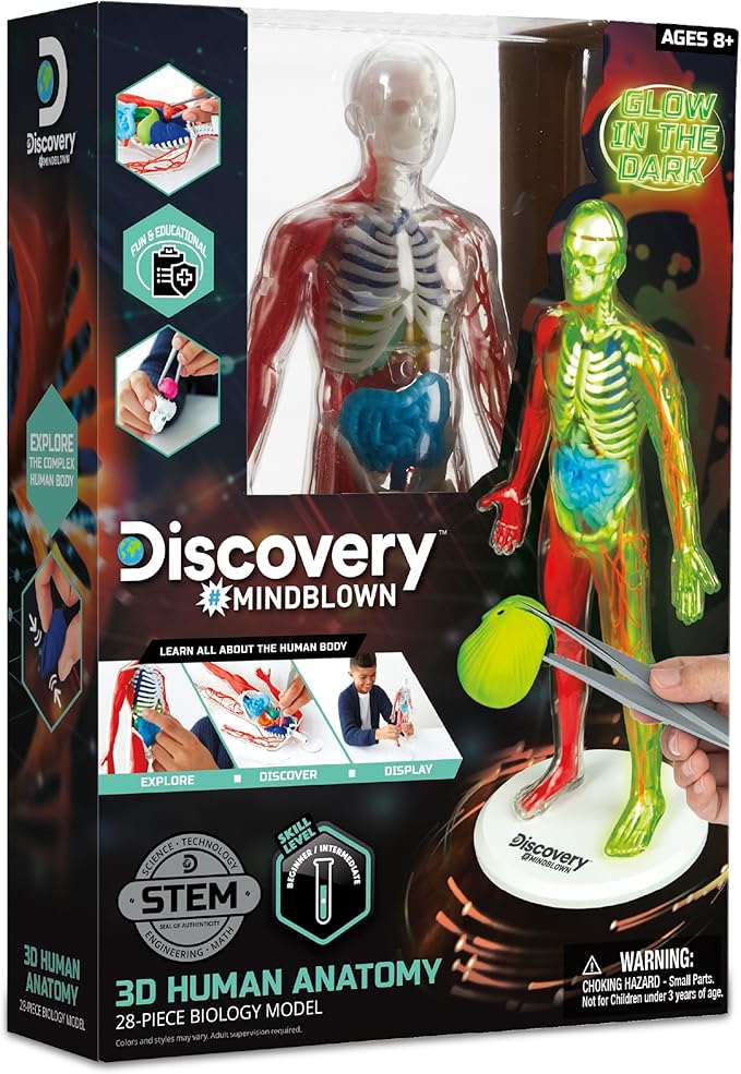 Discovery 3D Human Anatomy Biology Model Kit, 28-Piece Glow-in-The-Dark Human Body Model Skeleton, Interactive Learning & Education Toys Ages 8+