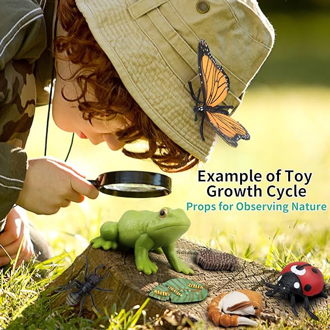 Montessori Life Cycle Learning - Montessori Life Cycle Animal Figures with Flash Cards, Plastic Insects Monarch Butterfly Kit Caterpillar Toy for Kids, Realistic Animal Figurines (Butterfly)