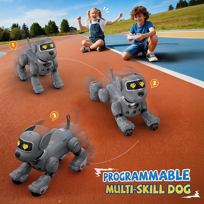 anysun Robot Dog for Kids, Remote Control Dog with Voice and Touch Interaction, Followable Programmable Dog Robot, Singing, Dancing, Talking, Smart Stunt Robot Dog Toy Gift for Boys Girls