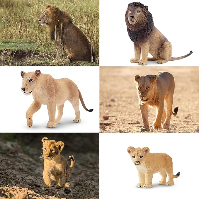 Toymany 6PCS Realistic Lion Figurines with Lion Cubs, 2-5" Wild Life Jungle Animals Figures Family Set Includes Baby Lions, Educational Toy Cake Toppers Easter Birthday Gift for Kids Toddlers