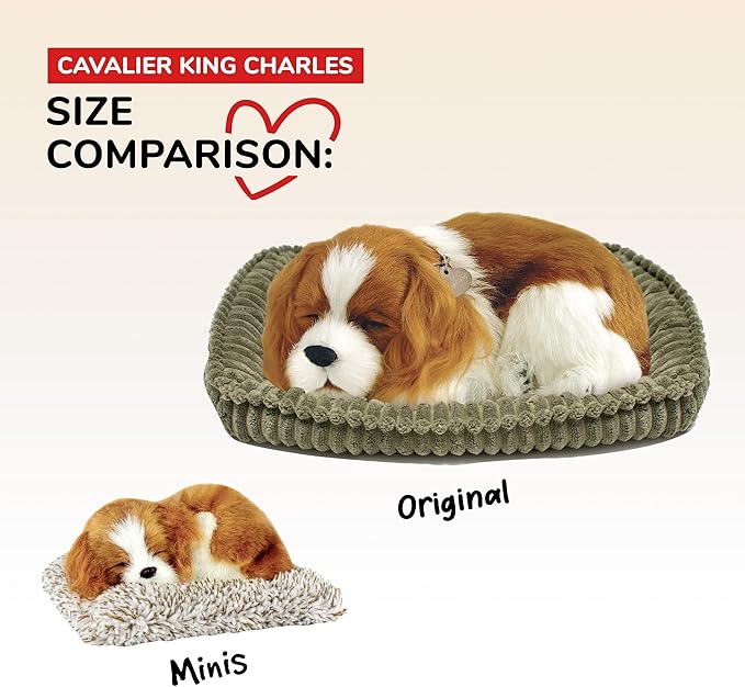 Mini Cavalier King Charles, Stuffed Animals for Girls and Boys, Dog Toys for Kids and Elderly, Battery-Operated Live Pet Toys, Companion Realistic Dog Calming Toys with Synthetic Fur