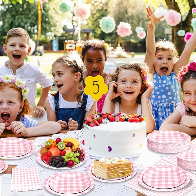 180Pcs Pink Gingham Party Supplies Paper Plates and Napkins Serve 60 Disposable Tableware Set for Birthday Party Decorations Game Day Family Holiday Sports Events