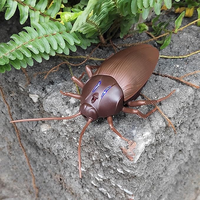 Tipmant RC Cockroach Remote Control Car Vehicle Animal Toys Electronic Realistic Insect Bug Glowing Eyes Cat Pet Kids Gift