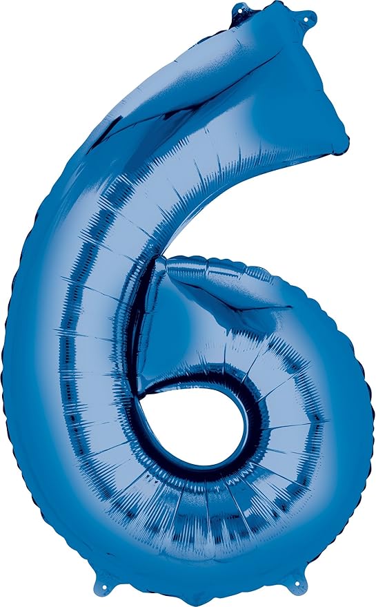 Bluey and Bingo 6th Birthday Party Supplies Balloon Bouquet Decorations