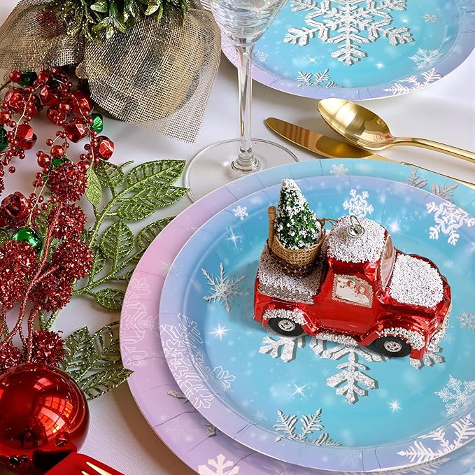 96Pcs Snowflake Plates and Napkins and Cups Kids Birthday Party Gradient Color Disposable Paper Plates for 24 Guests Picnic Baby Shower Tea Party Supplies