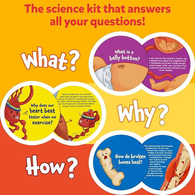 Skillmatics Flash Cards - Science Snippets The Human Body, STEM Learning Educational Toys & Learning Aids for Kids, Gifts for Boys & Girls Ages 7, 8, 9 & Up, Homeschool, Classroom & Travel Activity