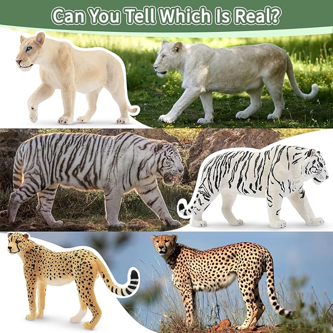 Toymany 12PCS Big Cat Wild Animal Figurines, Realistic Safari Animals Set Includes Lion,Tiger,Cougar,Cheetah,Leopard,Jaguar,Lynx Educational Toy Cake Toppers Christmas Birthday Gift for Toddlers