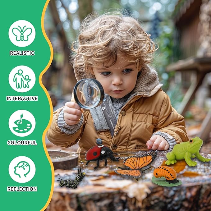 Montessori Life Cycle Learning - Montessori Life Cycle Animal Figures with Flash Cards, Plastic Insects Monarch Butterfly Kit Caterpillar Toy for Kids, Realistic Animal Figurines (Butterfly)