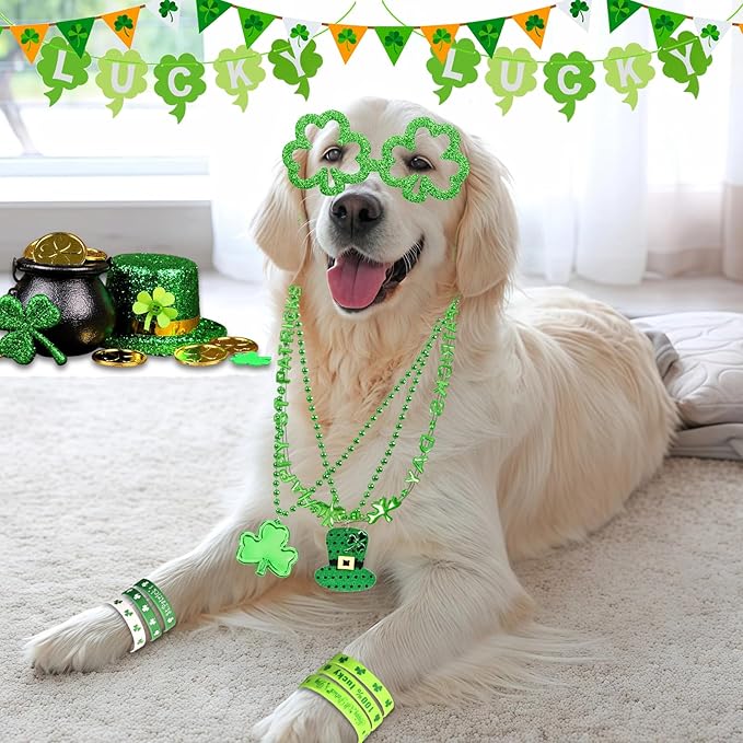 160PCS St. Patrick's Day Accessories Party Favor Set, Shamrock Party Supplies Set with Green Bead Necklaces, Clover Glasses, Mustache, Lucky Coins, Temporary Tattoos, Irish Festival Party Decorations