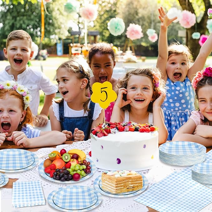 180Pcs Blue Gingham Party Supplies Paper Plates and Napkins Serve 60 Disposable Tableware Set for Birthday Party Decorations Game Day Family Holiday Sports Events