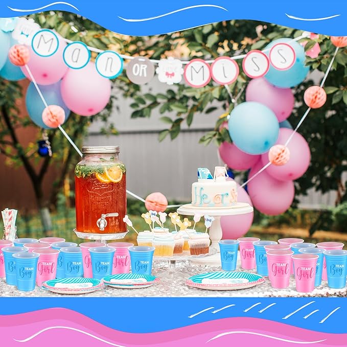 Norme 48 Pcs Gender Reveal Plastic Cups Gender Reveal Party Supplies Team Boy Team Girl Disposable Blue Pink Cups for Beverage Drink Tableware (16 oz)
