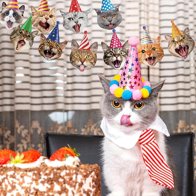 Hooqict Cat Birthday Banner Birthday Party Decorations for Backdrop Cat Happy Birthday Banner Garland Sign for Girls Boys Kids 1st 2nd 3rd Party Supplies Hanging Decor