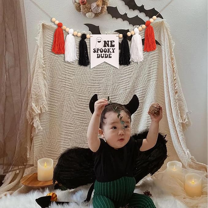 Halloween One Spooky Dude High Chair Banner - Little Ghost Baby 1st Birthday Party Decoration Supplies, Halloween Themed Spooky Tassels Garland, Boo Ghost Sign Birthday Party Backdrop Decoration Banner