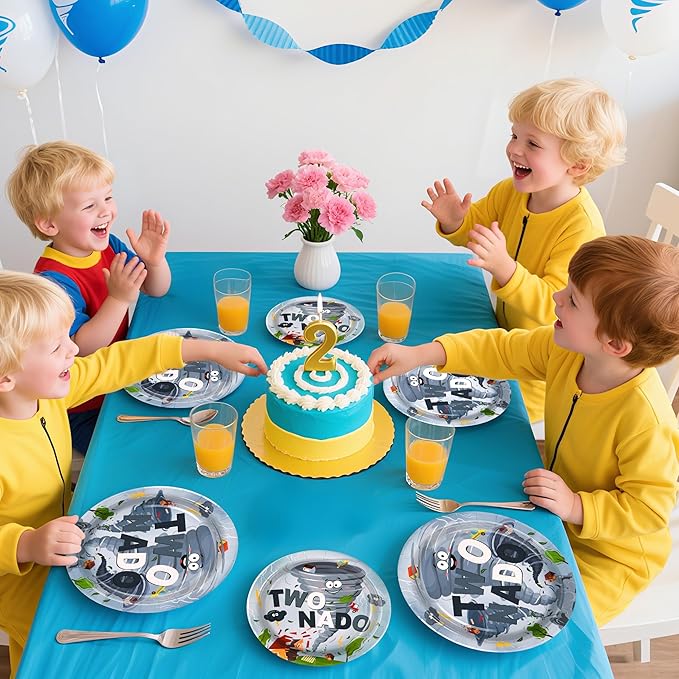 96Pcs Twonado Birthday Party Decorations Grey Tornado 2nd Birthday Plates and Napkins Disposable Tornado Paper Tableware for Boys Kids 2 Year Old Party Supplies, Serves 24