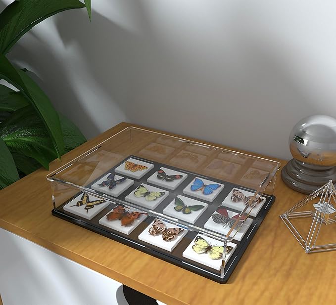 Acrylic Display Case for Large Books, Clear Flat Acrylic Box for Displaying Books, Medals, Stamps, Collectibles and Cards