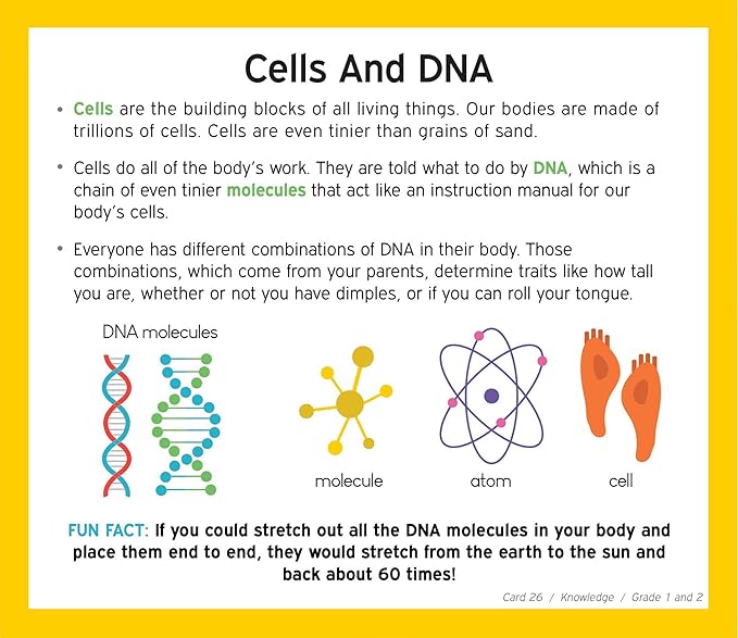 TestingMom.com Gifted Learning Flash Cards Bundle - Educational Flash Cards for 6-8 Years - Knowledge, Spatial Concepts, Following Directions and Math Flash Cards for Grade 1-2 CogAT, OLSAT, NNAT