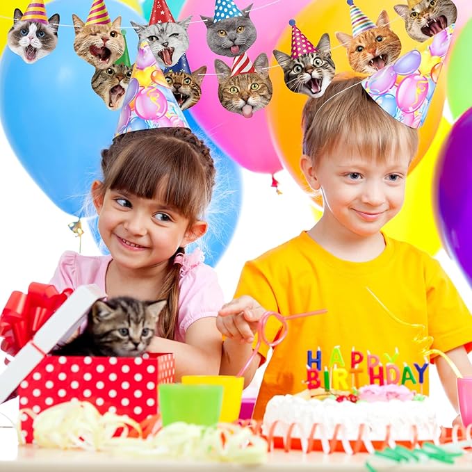 Hooqict Cat Birthday Banner Birthday Party Decorations for Backdrop Cat Happy Birthday Banner Garland Sign for Girls Boys Kids 1st 2nd 3rd Party Supplies Hanging Decor