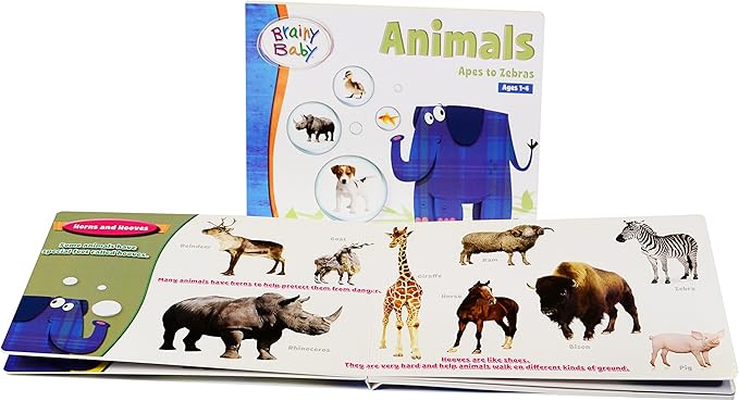 Brainy Baby Teach Your Child All In 1 Preschool Learning for a Lifetime System DVDs, Books, Flash Cards and CD Collection 9 Subjects