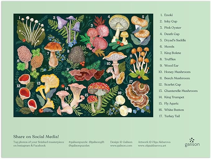 Galison World of Mushrooms – 1000 Piece Jigsaw Puzzle Featuring Beautiful Painted Artwork of A Mushroom and Fungi Collection