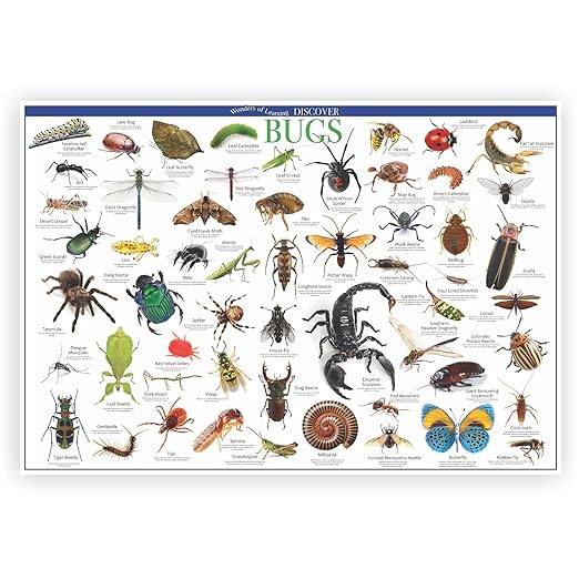Wonders of Learning Wonders of Learning Tin Set, Discover Bugs