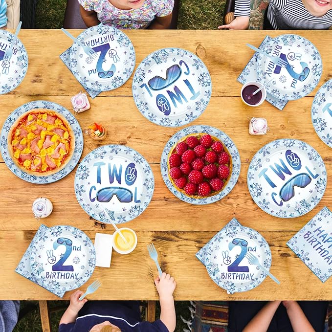96Pcs Winter 2nd Birthday Decorations Two Cool Plates and Napkins Snowflake Ski Theme Birthday Decoration Favors for Kids Boy Winter Wonderland Frozen Theme Two Years Old Bday Party Supplies Serves 24