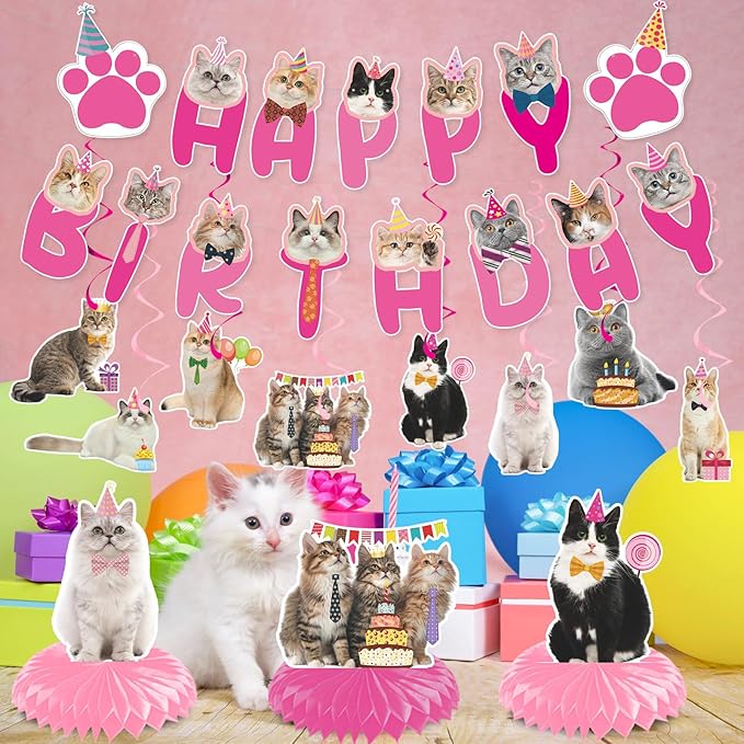 Cat Birthday Party Hanging Swirls - NOVBAUB 20PCS Lovely Pink Cat Birthday Party Supplies Honeycomb Centerpieces Cute Cat Theme Birthday Party Decorations for Cats Kids Teens Adults