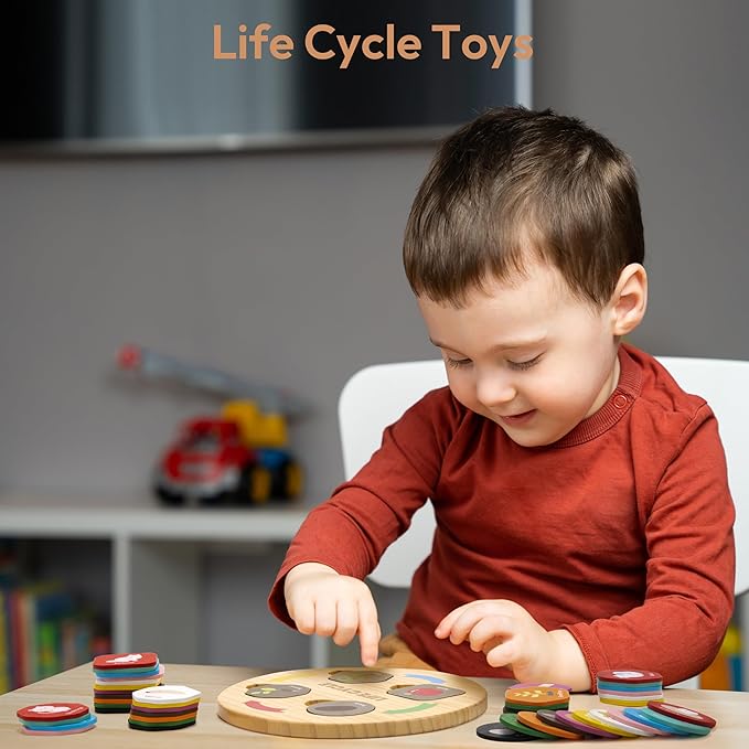 Woodtoe Life Cycle Toys for Kids, 12 Themes Montessori Preschool Science Center Materials, Wooden Learning & Educational Toys for Toddlers, Learning Game Christmas STEM Toys for Boy Girl Age 3-6