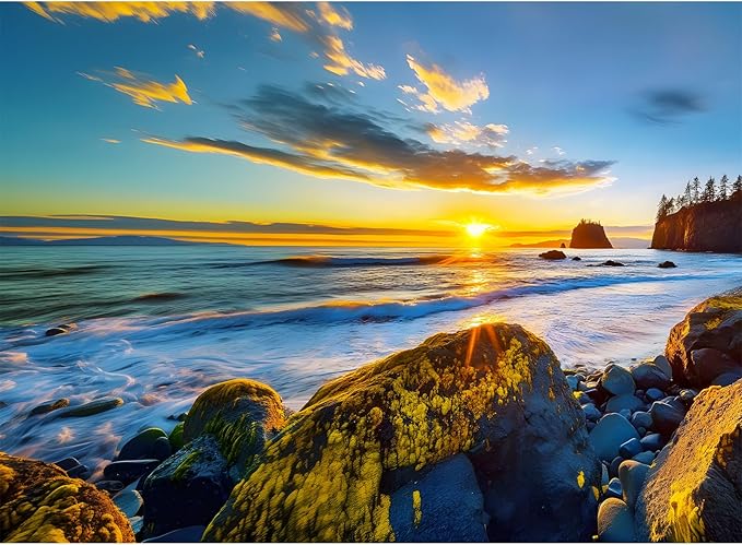 500 Pieces Puzzle for Adults - Olympic National Park Jigsaw Puzzle for Adults Teens,Recycled Cardboard Sunset Beach Puzzle 500 Pieces,Challenging Game for Family Fun & Gift Idea,20.5 x 15 in