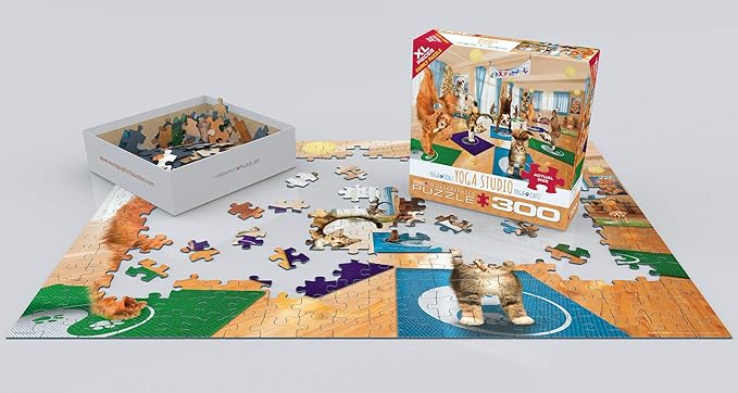 EuroGraphics Yoga Studio 300-Piece Puzzle