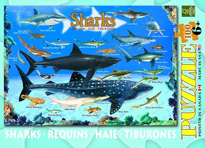 Sharks 100 Piece Jigsaw Puzzle