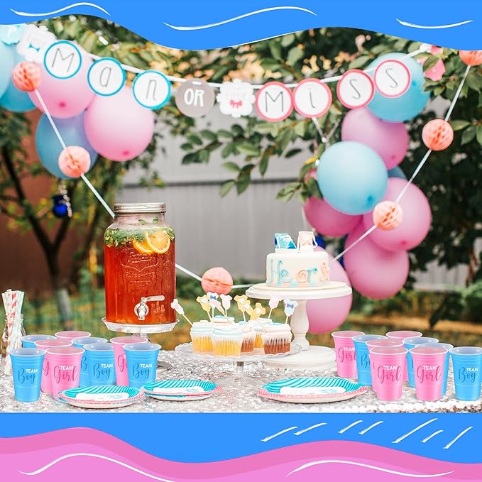 Norme 60 Pcs Gender Reveal Plastic Cups Gender Reveal Party Supplies Team Boy Team Girl Disposable Blue Pink Cups for Beverage Drink Tableware (16 oz)