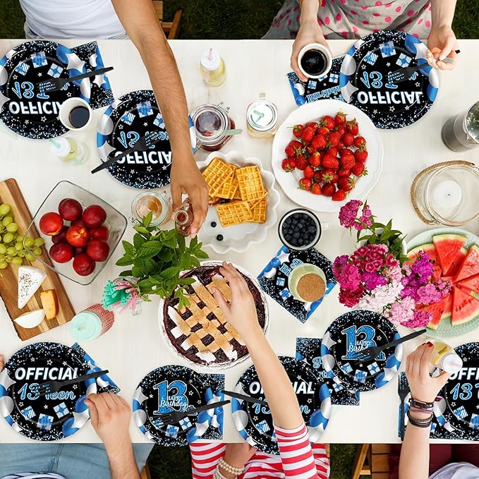 50 Guests Official Teen Birthday Plates and Napkins Party Supplies 13th Birthday Party Decorations Disposable Tableware Set Official Teen 13th Dinnerware Favor for Kids Girls Teenager, 200PCS