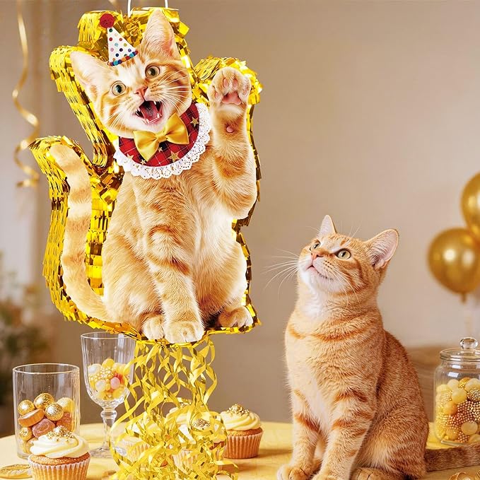 WERNNSAI Cat Piñata - Orange Cat Birthday Decorations Pull String Piñata Bundle with Blindfold and Bat Cute Animal Party Game for Kids Girls Kitten Party Supplies