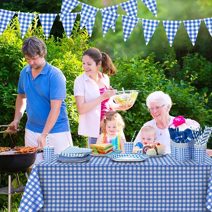 205 Pcs Party Supplies for 25 Guest Checkered Plaid Tablecloth Pennant Banner Plate Cup Napkin Cutlery and Straw for Birthday Party Family Dinner Picnic BBQ Birthday Party Decoration (Blue and White)