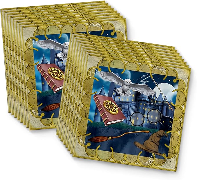 Wizard Castle Birthday Party Supplies Set Plates Napkins Cups Tableware Kit for 16