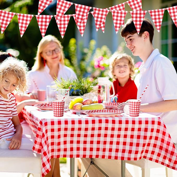 205 Pcs Party Supplies for 25 Guest Checkered Plaid Tablecloth Pennant Banner Plate Cup Napkin Cutlery and Straw for Birthday Family Dinner Picnic BBQ Birthday Party Decoration(Red and White)
