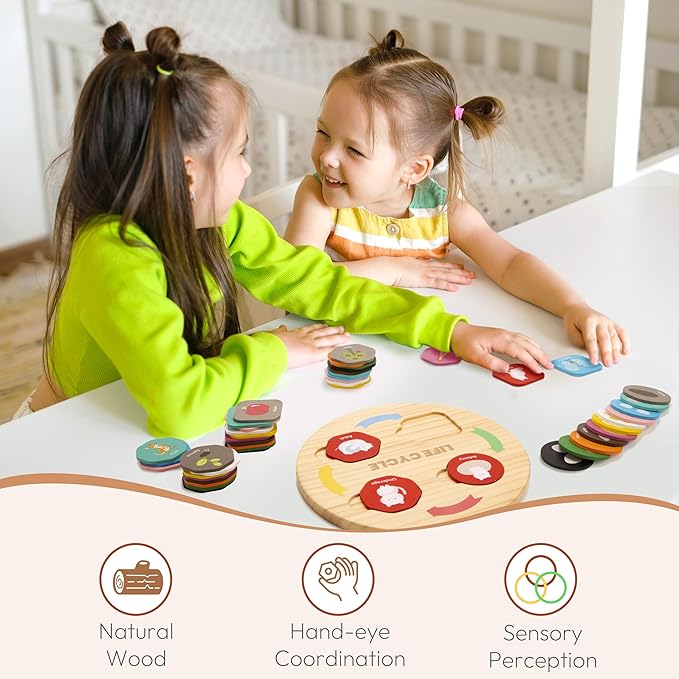 Woodtoe Life Cycle Toys for Kids, 12 Themes Montessori Preschool Science Center Materials, Wooden Learning & Educational Toys for Toddlers, Learning Game Christmas STEM Toys for Boy Girl Age 3-6