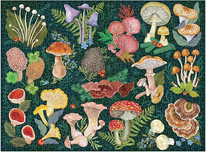 Galison World of Mushrooms – 1000 Piece Jigsaw Puzzle Featuring Beautiful Painted Artwork of A Mushroom and Fungi Collection