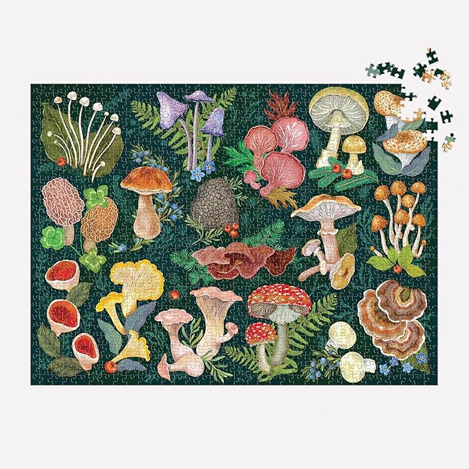 Galison World of Mushrooms – 1000 Piece Jigsaw Puzzle Featuring Beautiful Painted Artwork of A Mushroom and Fungi Collection