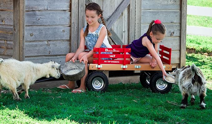 Berlin Flyer Sport Kid's Wagon - Model F410 - Amish Made in Ohio, USA - 10" No-Flat Tires (Red)