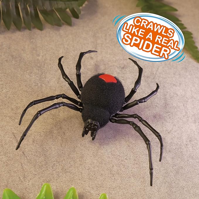 Robo Alive Crawling Spider 2 Pack Battery-Powered Robotic Toy by ZURU