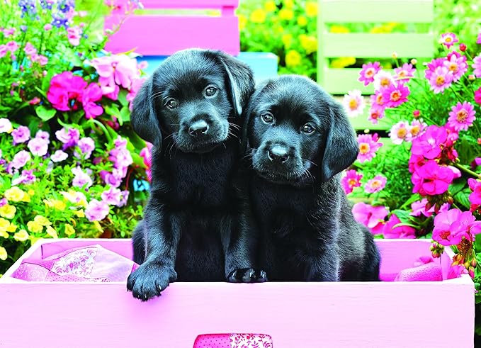 EuroGraphics Black Labs in Pink Box 500 Piece Puzzle