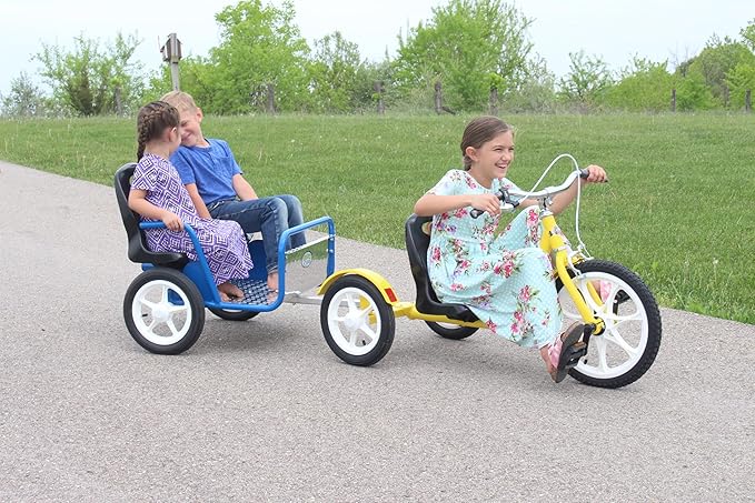 AmishToyBox.com Groffdale Chopper Deluxe Kid's Trike