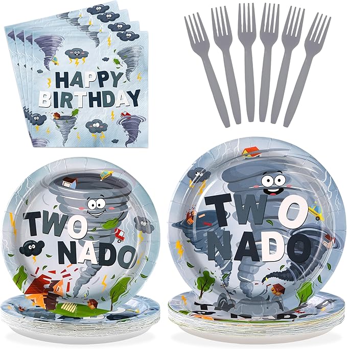 96Pcs Twonado Birthday Party Decorations Grey Tornado 2nd Birthday Plates and Napkins Disposable Tornado Paper Tableware for Boys Kids 2 Year Old Party Supplies, Serves 24